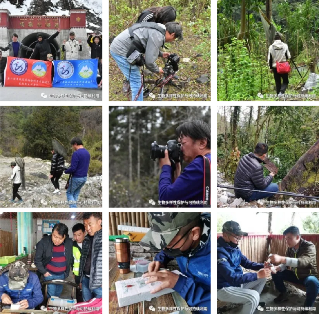 null TIM截圖20200507193827.png