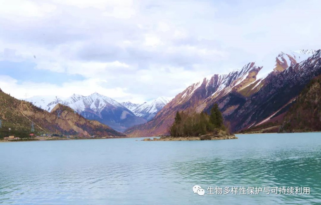 null 微信圖片_20200515150402.jpg