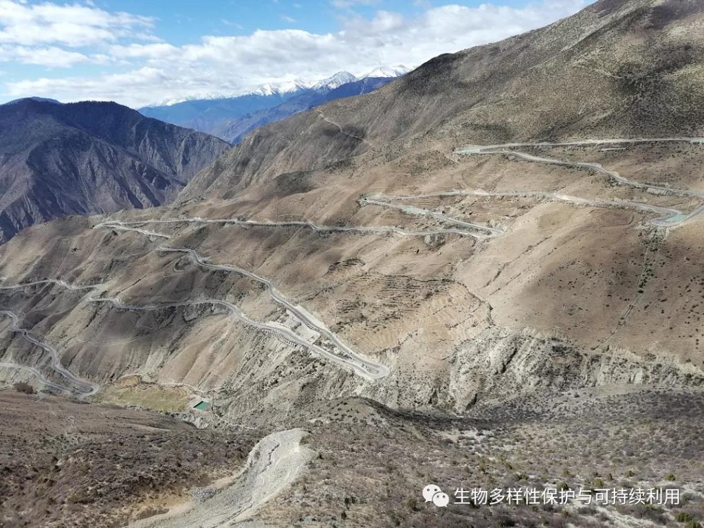 null 微信圖片_20200515150406.jpg