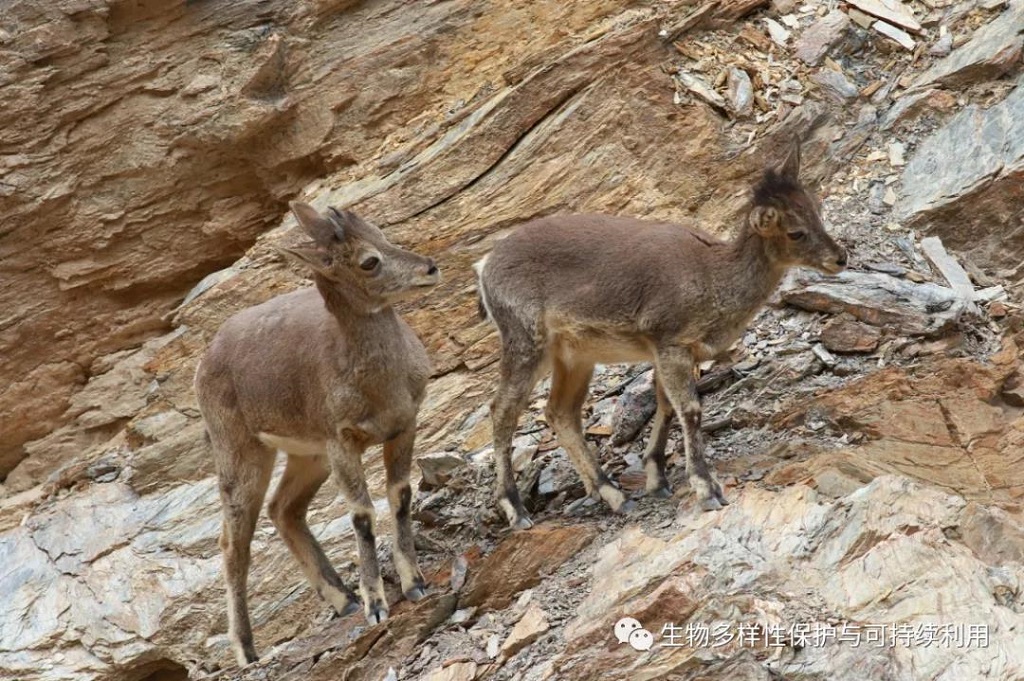 null 微信圖片_20200515150411.jpg