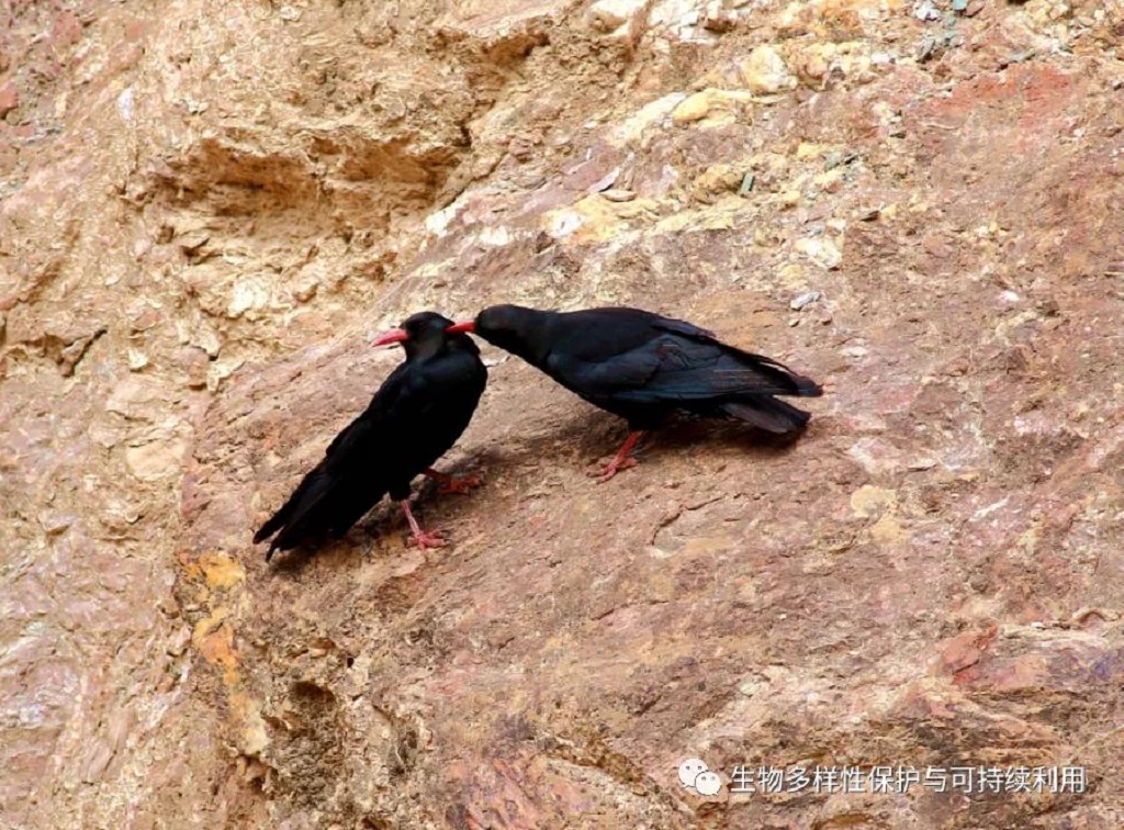 null 微信圖片_20200515150424.jpg