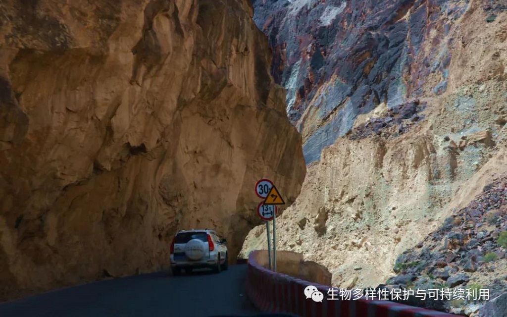 null 微信圖片_20200515150430.jpg