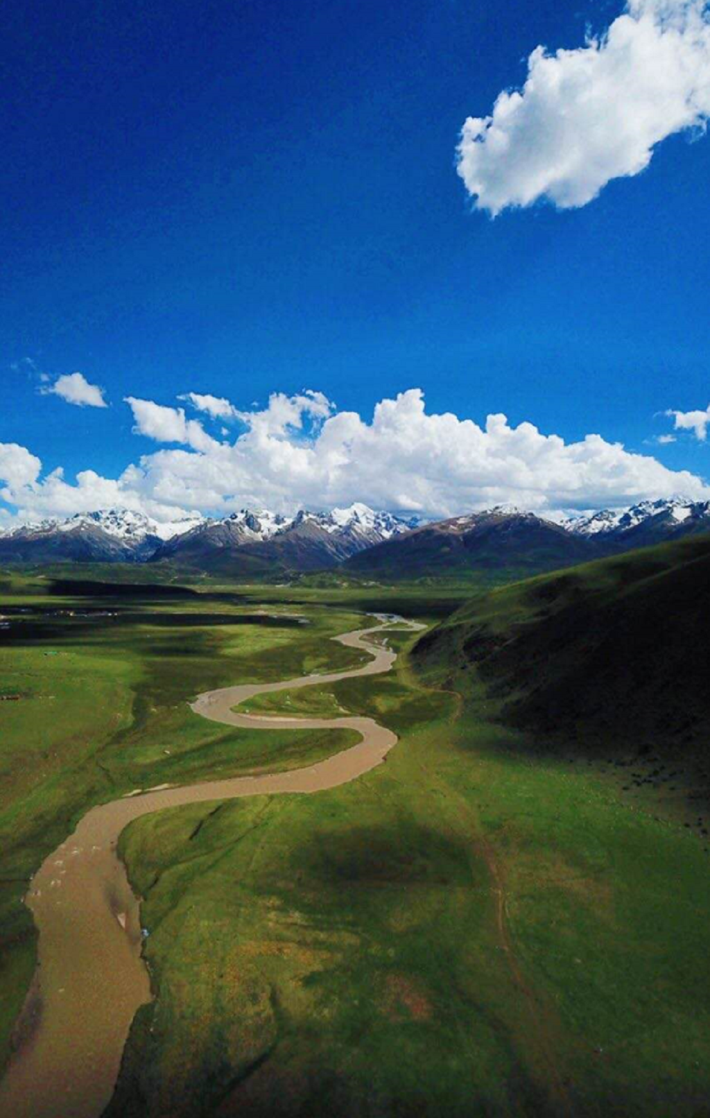 null TIM截圖20200630182609.png