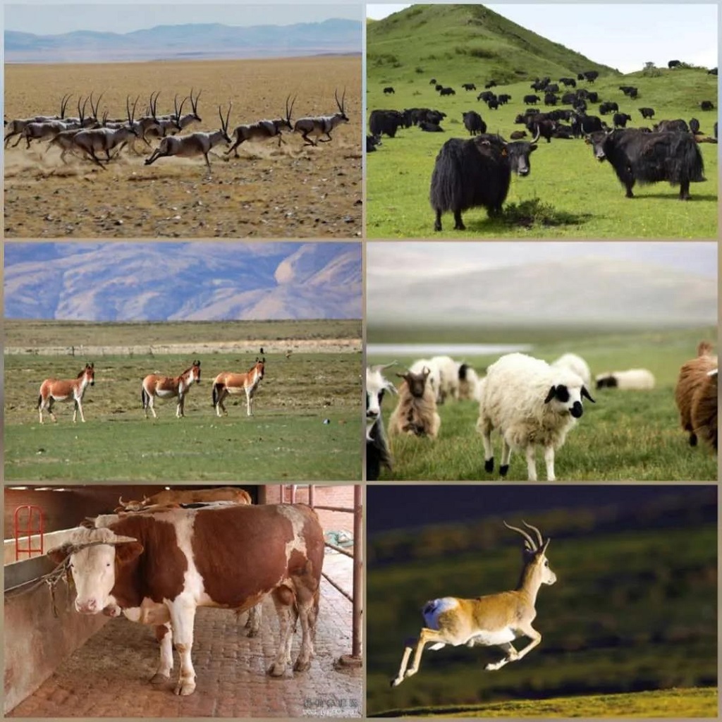 null 微信圖片_20200729172131.jpg