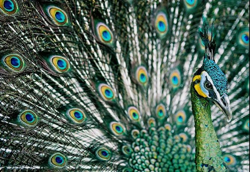 null 微信圖片_20200729172337.jpg