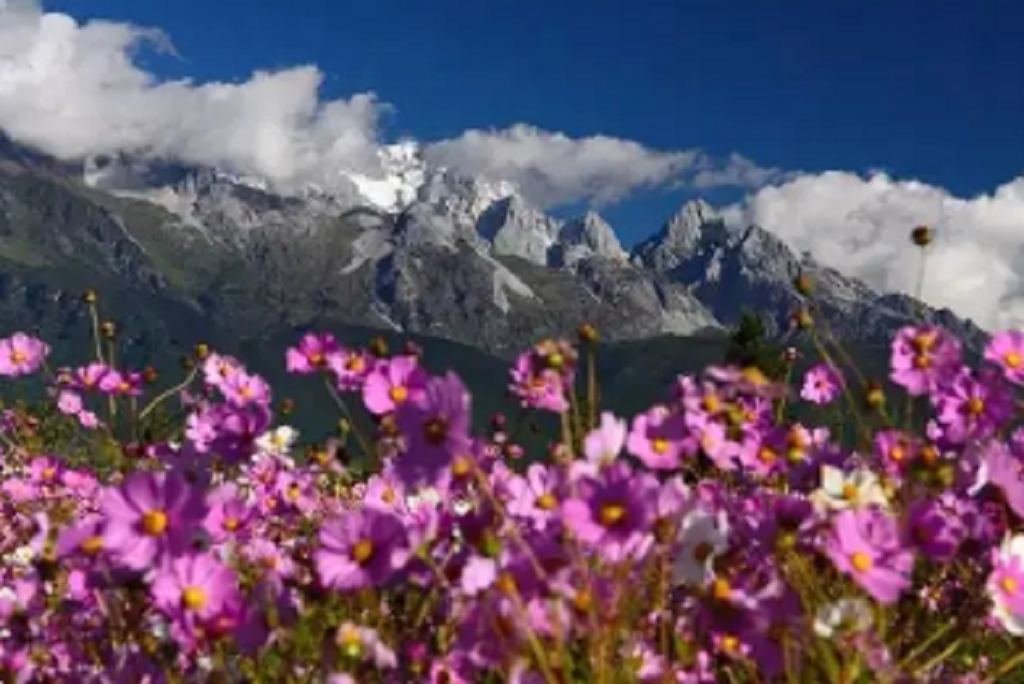 null TIM截圖20200729161714.png