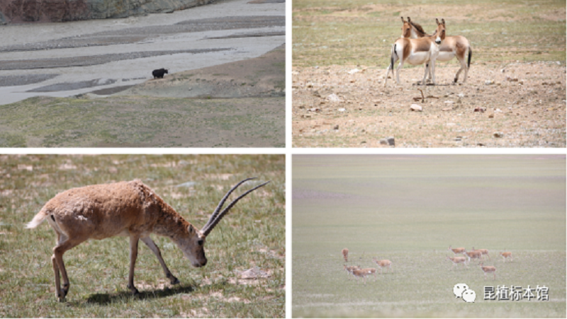 null 微信圖片_20200828111722.png