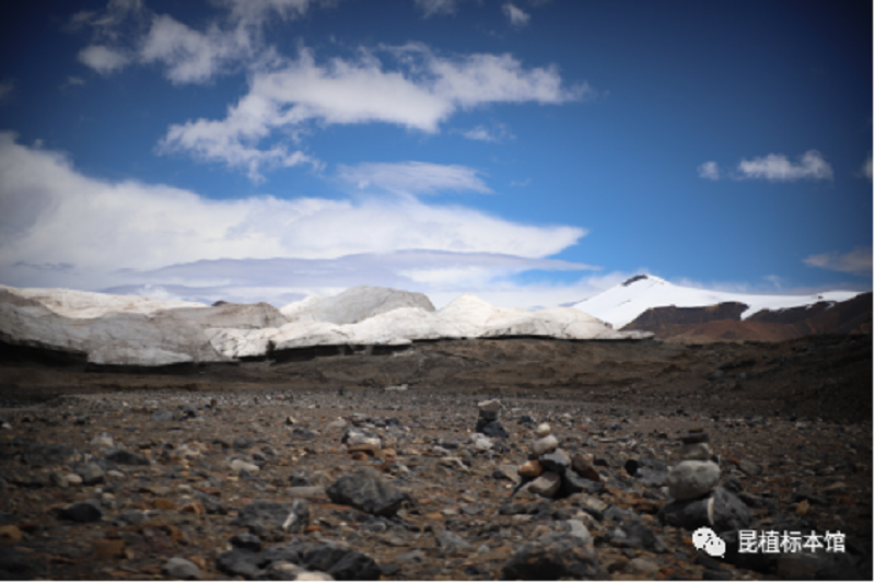 null 微信圖片_20200828111826.png