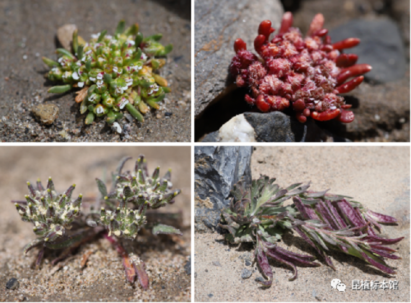 null 微信圖片_20200828111832.png