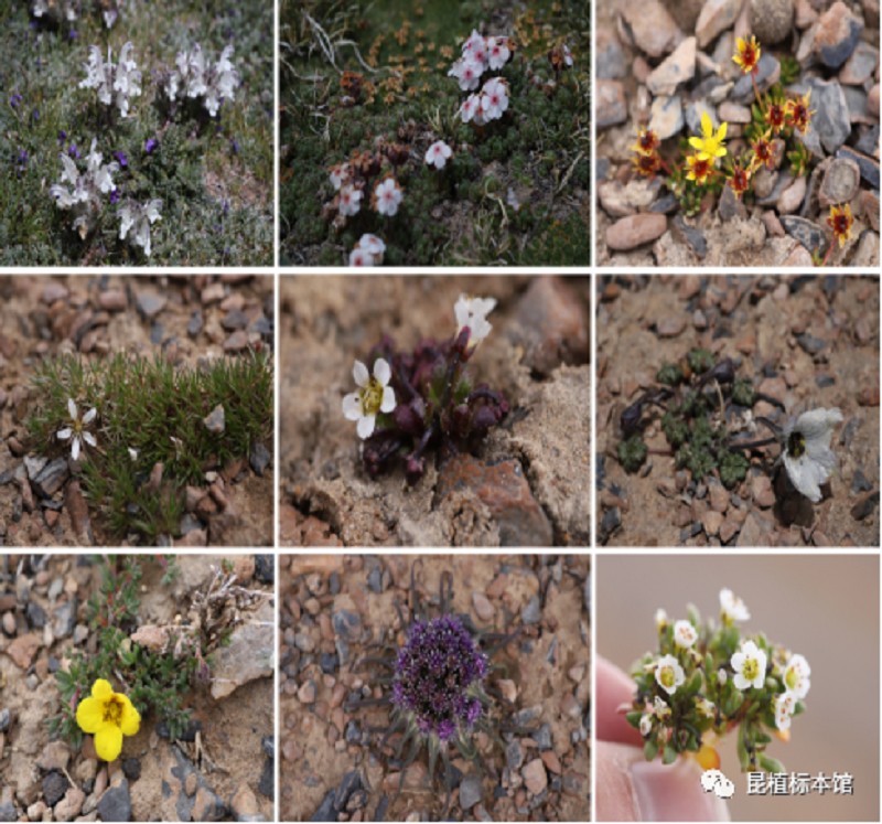 null 微信圖片_20200828112119.png