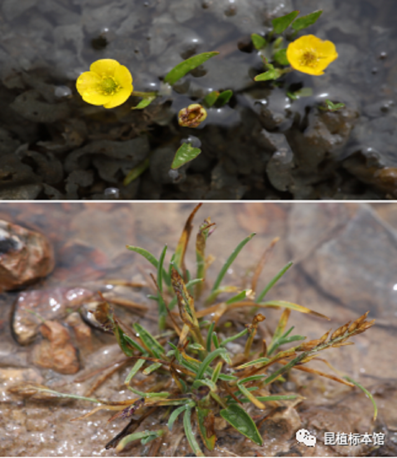 null 微信圖片_20200828112305.png