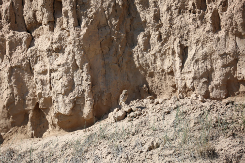 null 圖片 15(1).png